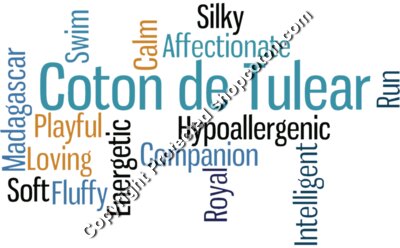 Coton Word Cloud