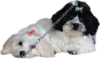 Ruby and Pearl Pic